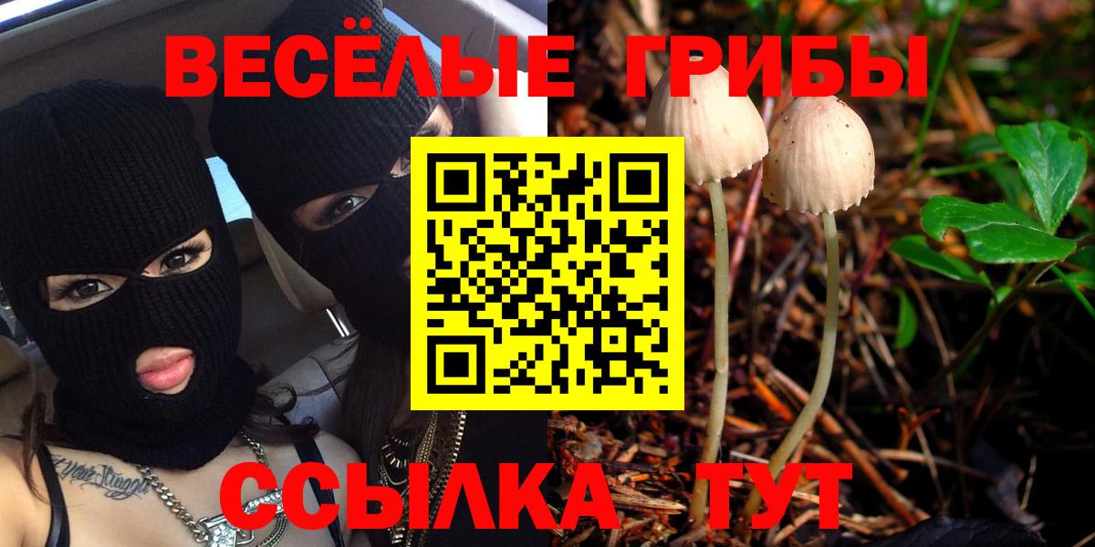 Псилоцибиновые грибы мицелий  Вход с VPN  Курган 